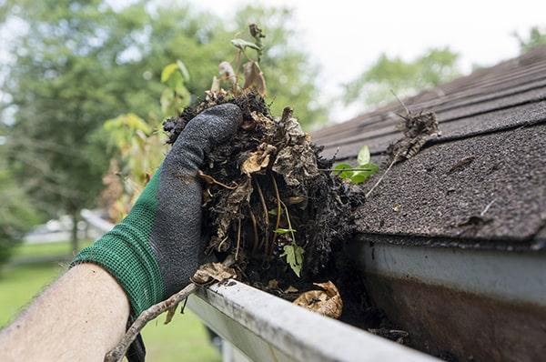 after gutter cleaning, we can provide tips on how to maintain your gutters and prevent future clogs